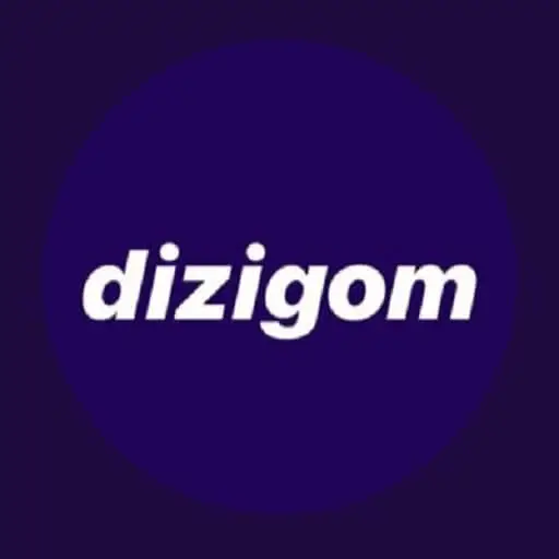 Dizigom